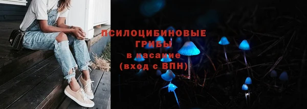 ГАЛЛЮЦИНОГЕННЫЕ ГРИБЫ Абдулино