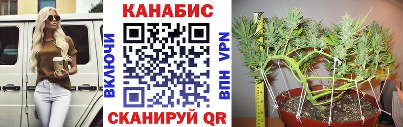 Шишки марихуана план Шарыпово